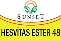 asist