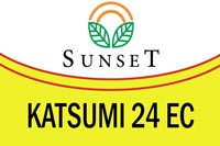 asist