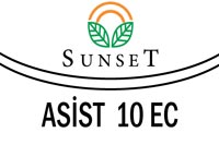 asist
